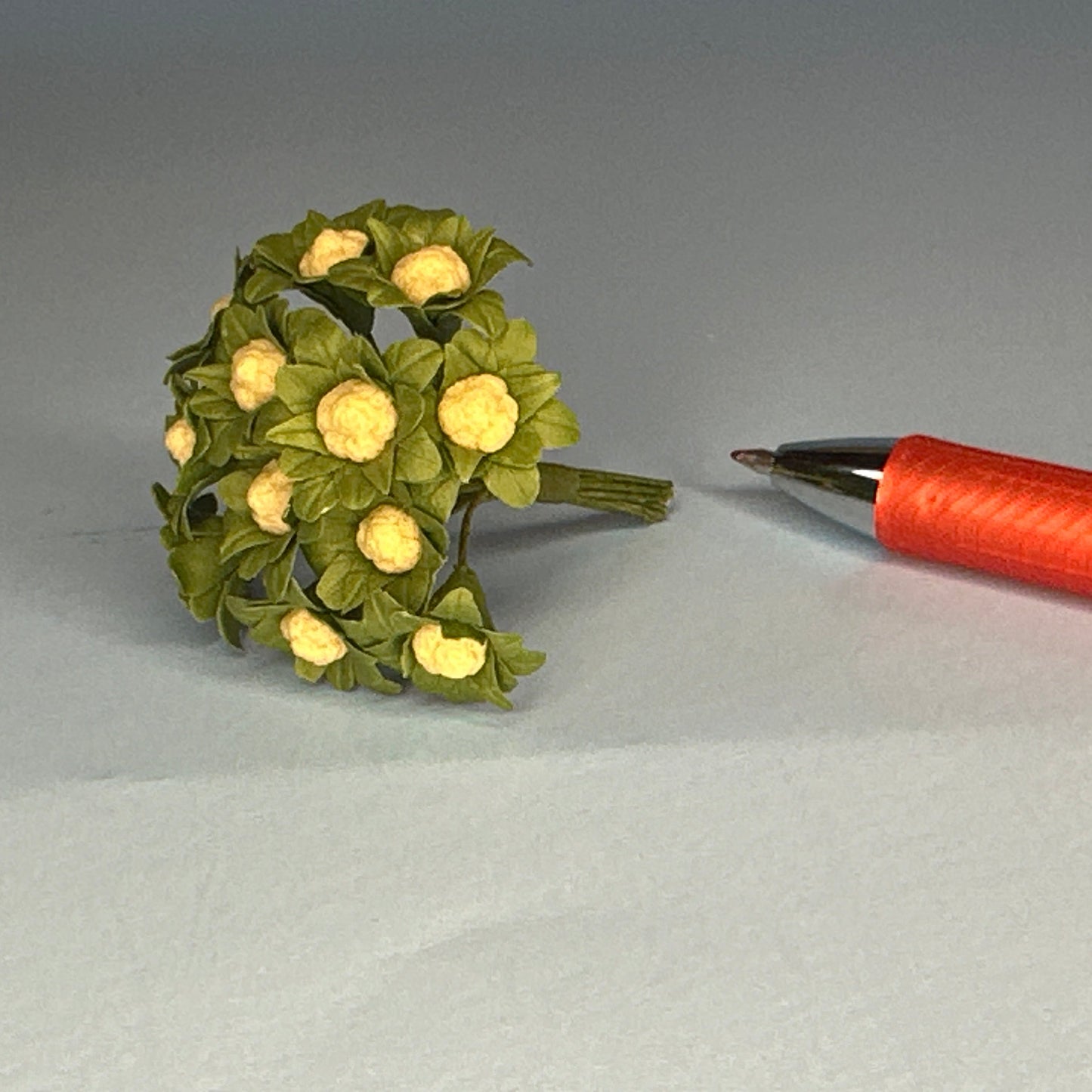 Cauliflower-looking inflorescence