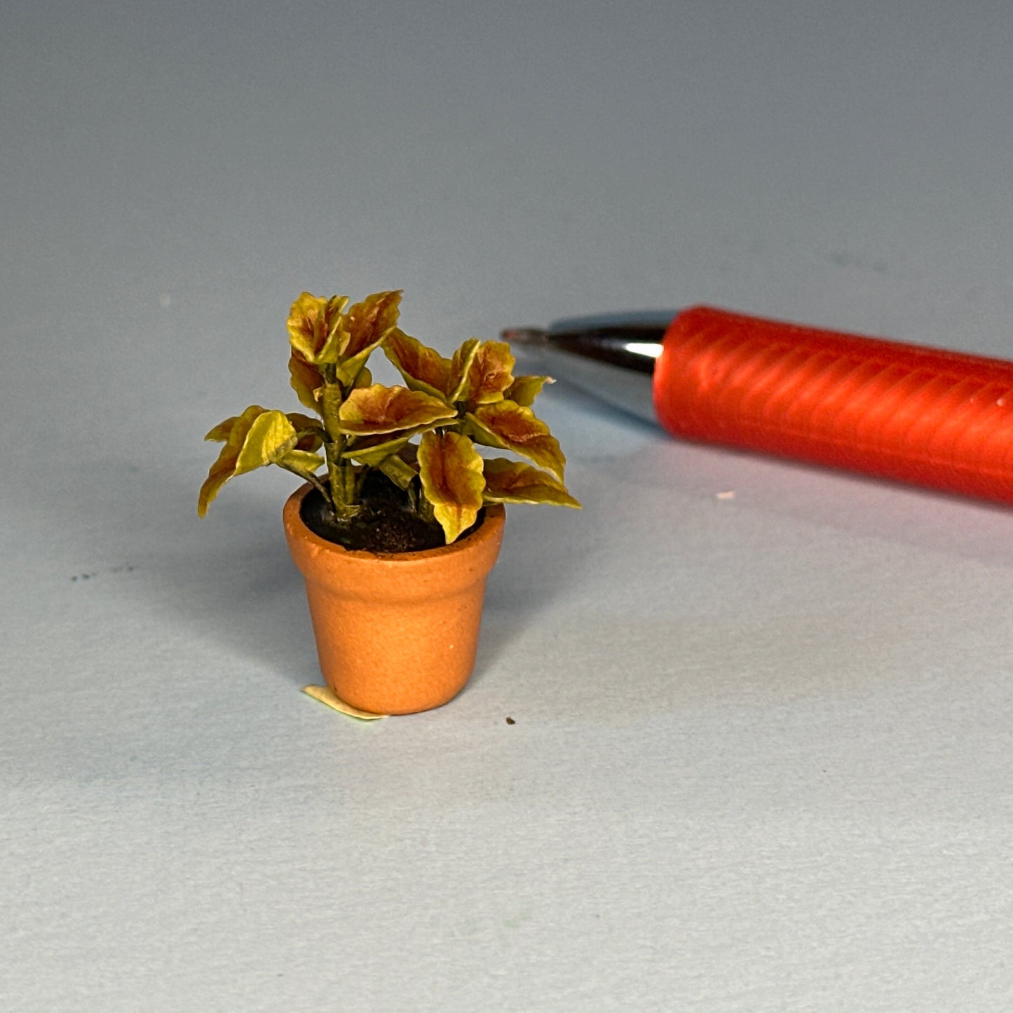 House potted green houseplant plant pot for dollhouse miniature 1:12 calathea