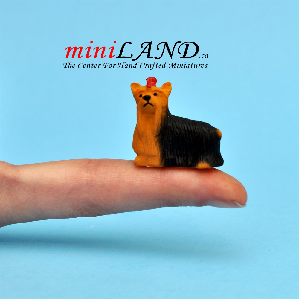 Terrier Small Yorkshire dog for Dollhouse miniature 1:12 scale