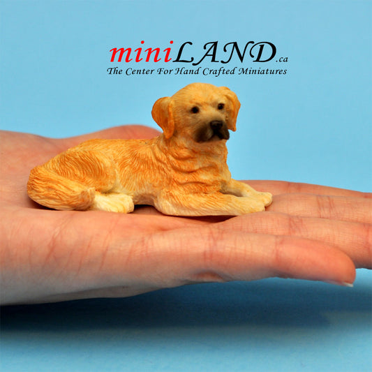 Chien Golden Retriever couché pour maison de poupée miniature à l'échelle 1:12