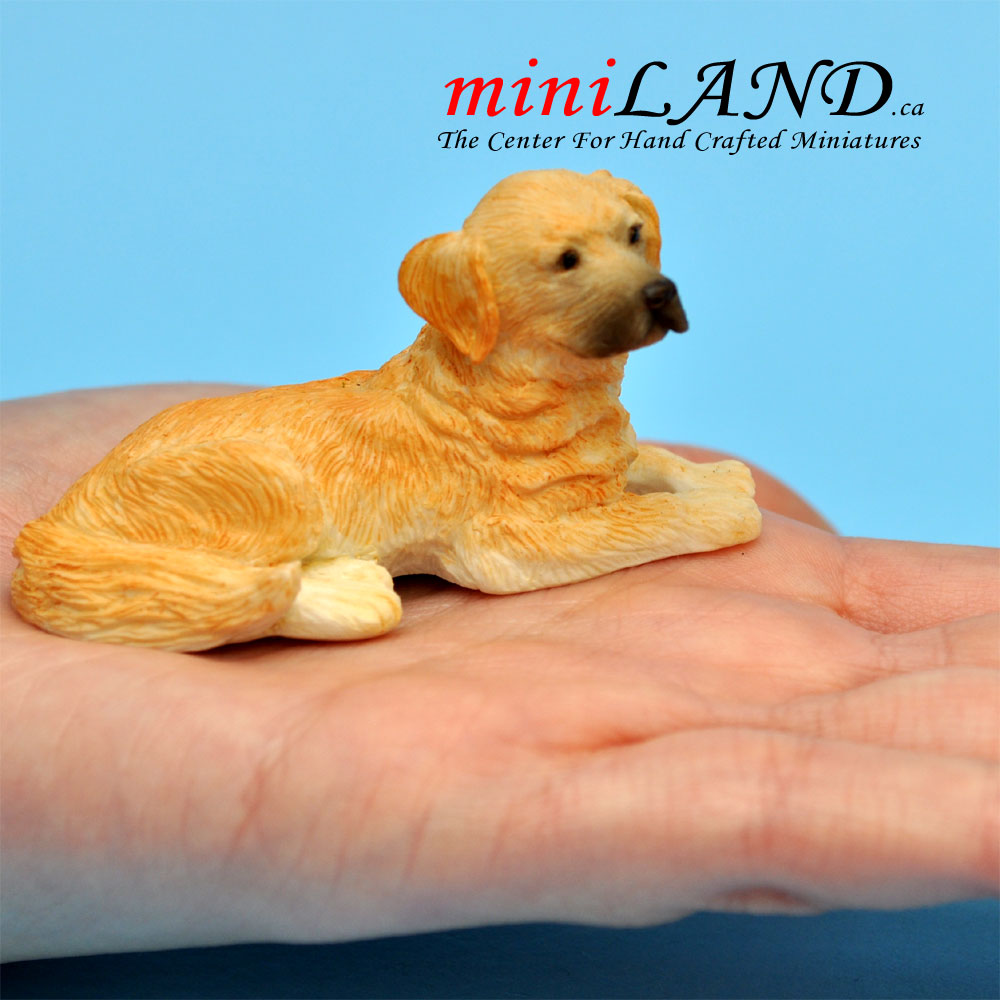 Laying Golden Retriever Dog for Dollhouse miniature 1:12 scale