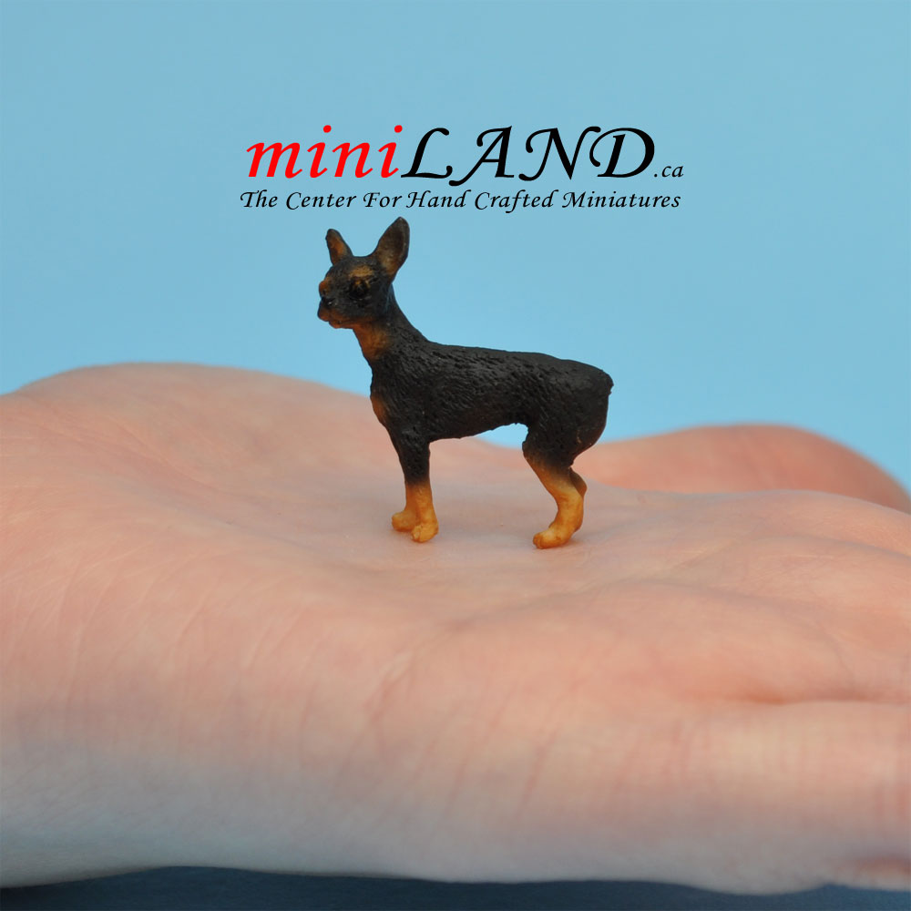 standing, miniature pincher dog for Dollhouse miniature 1:12 scale
