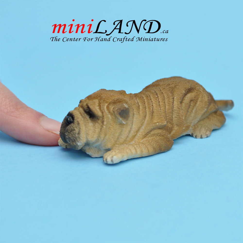 Shar Pei Lying dog for Dollhouse miniature 1:12 scale