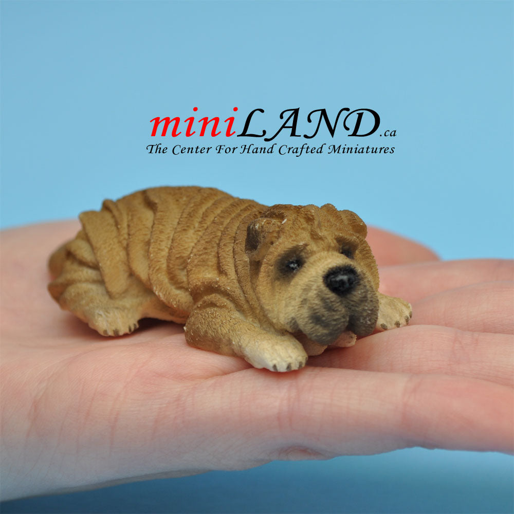 Shar Pei Lying dog for Dollhouse miniature 1:12 scale