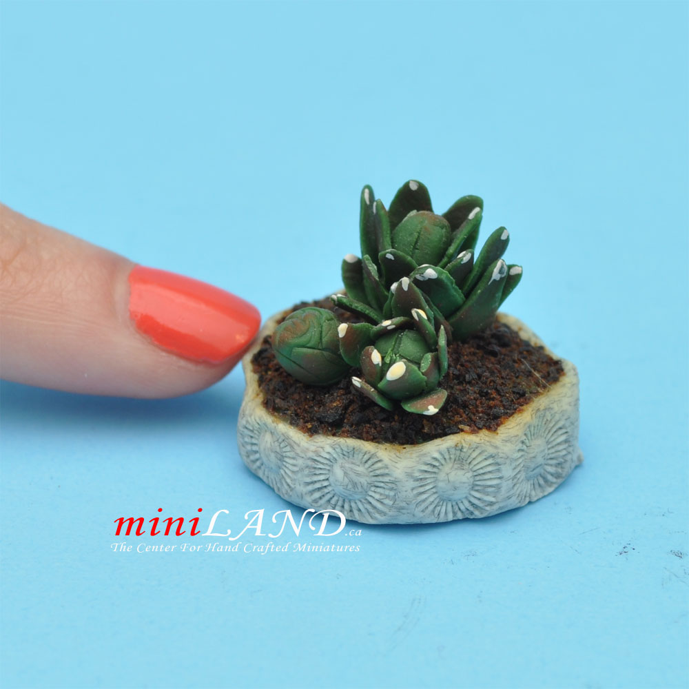 Miniature Handmade Cactus in a Gray Pot – 1:12 Scale