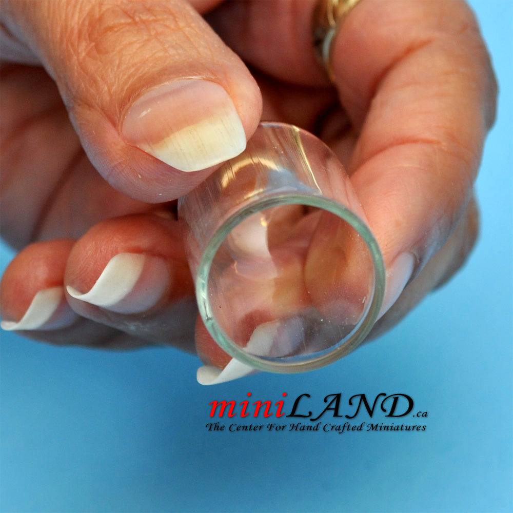 Glass display cover dome for antique dolls and accessories dollhouse miniature 1:12