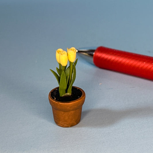 Miniature Yellow Tulips – Light Yellow