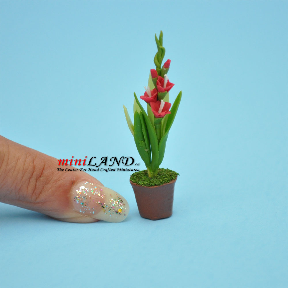 Handmade white iris plant in Terracotta Pot Dollhouse Miniatures FL041 1:12 scale