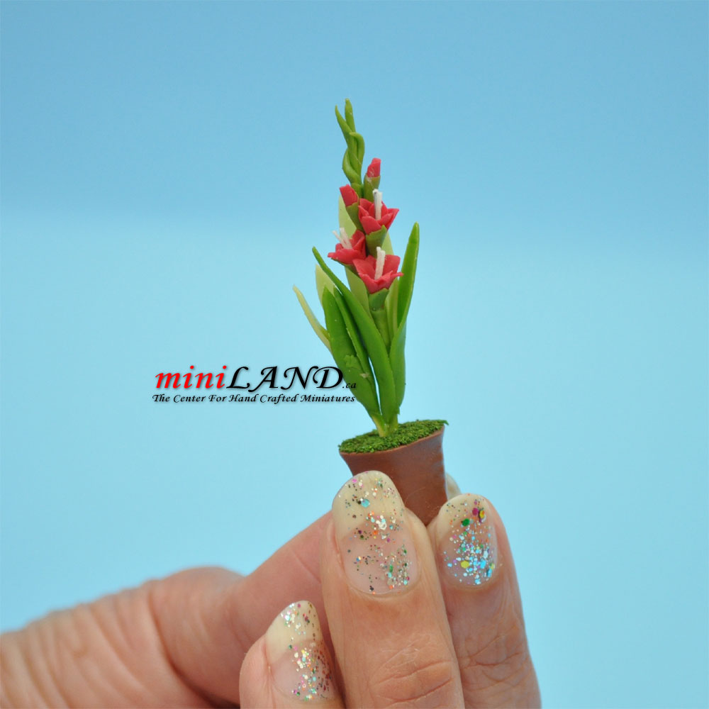 Handmade white iris plant in Terracotta Pot Dollhouse Miniatures FL041 1:12 scale