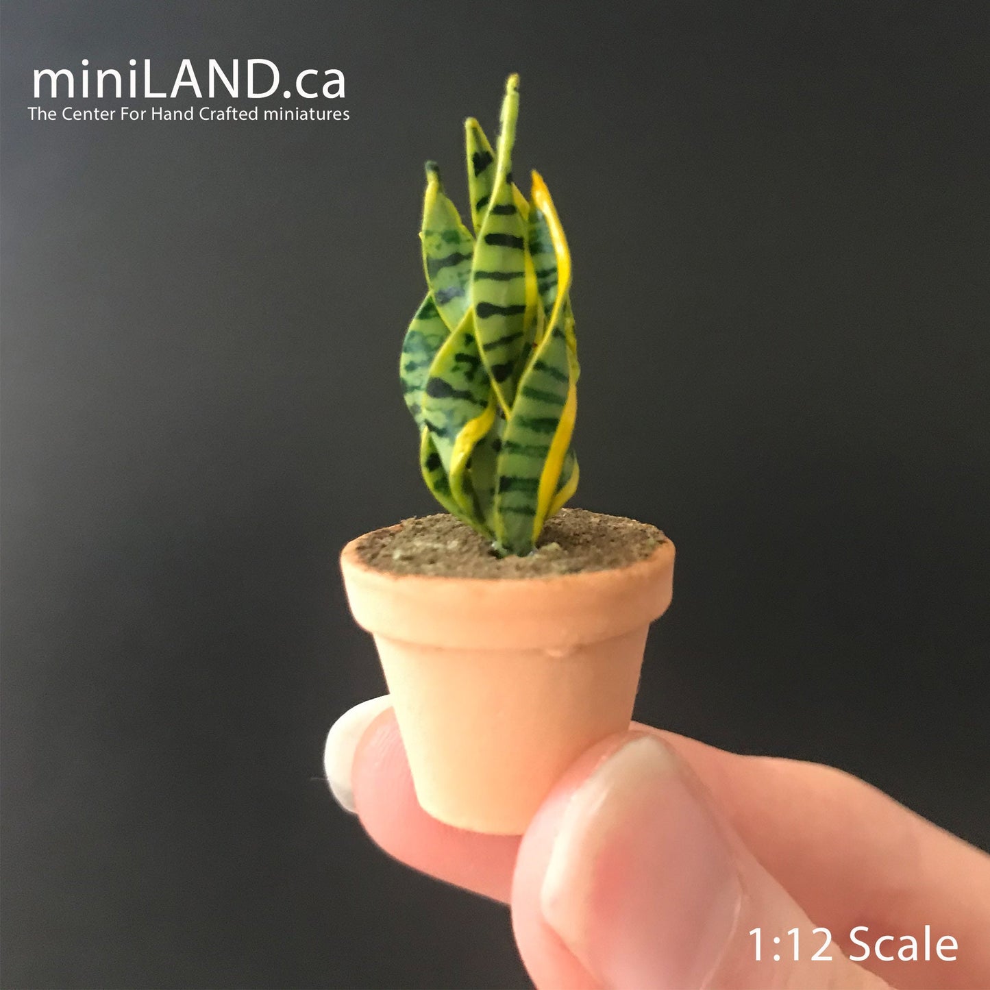 House potted Snake leaves leaf green houseplant plant pot for dollhouse miniature 1:12 scale forever garden