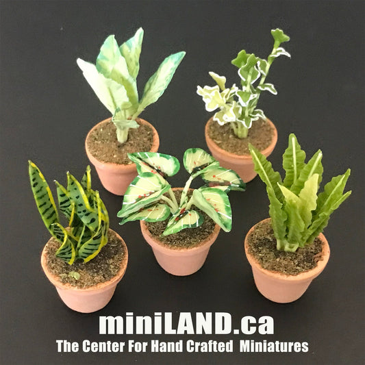 House potted Snake leaves leaf green houseplant plant pot for dollhouse miniature 1:12 scale forever garden