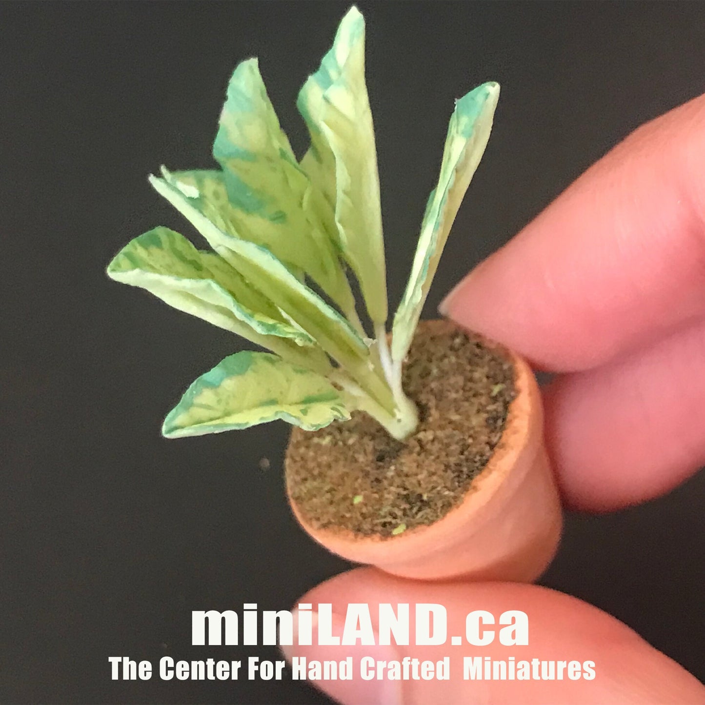 House potted Snake leaves leaf green houseplant plant pot for dollhouse miniature 1:12 scale forever garden