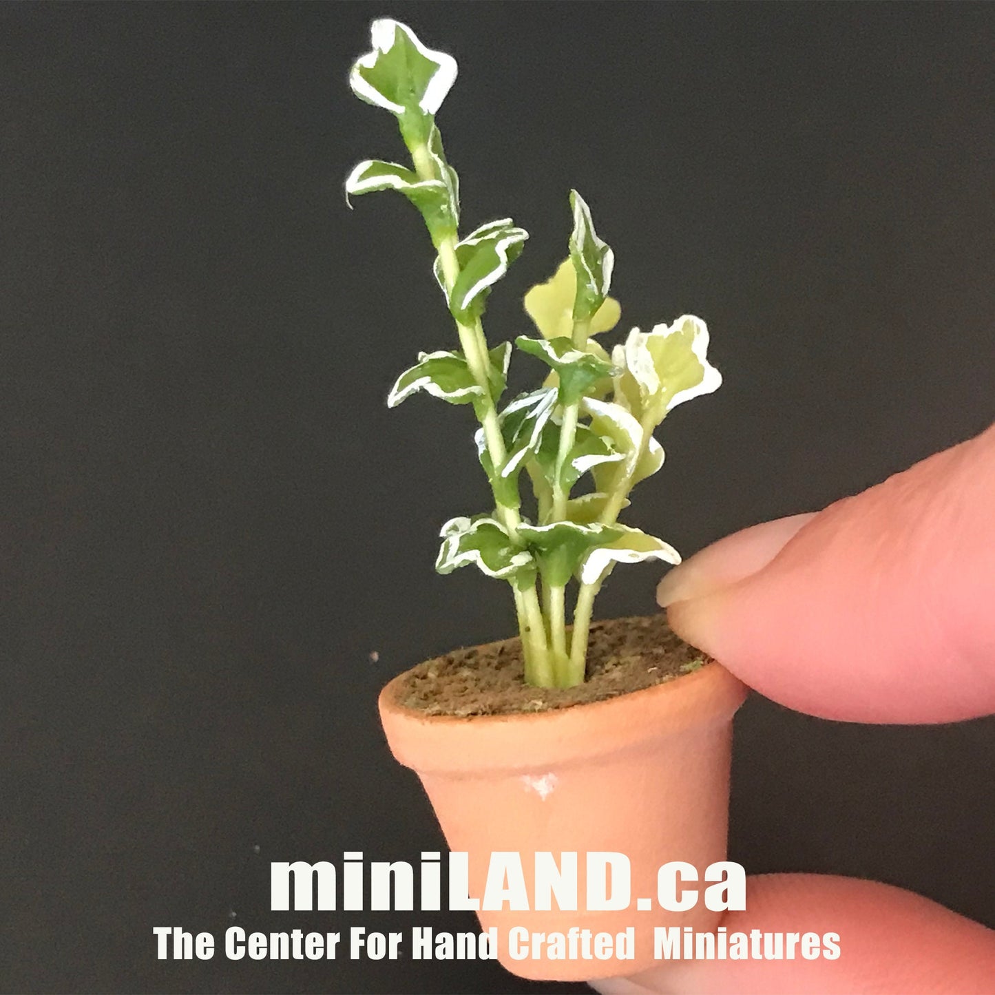 House potted Snake leaves leaf green houseplant plant pot for dollhouse miniature 1:12 scale forever garden