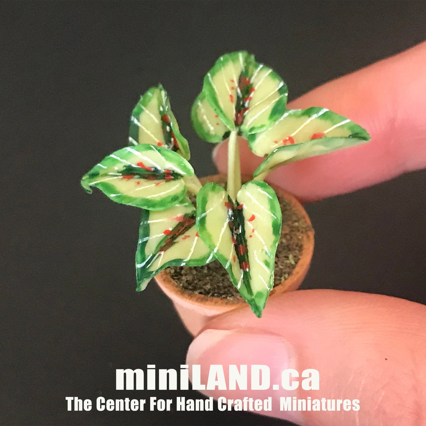 House potted Snake leaves leaf green houseplant plant pot for dollhouse miniature 1:12 scale forever garden