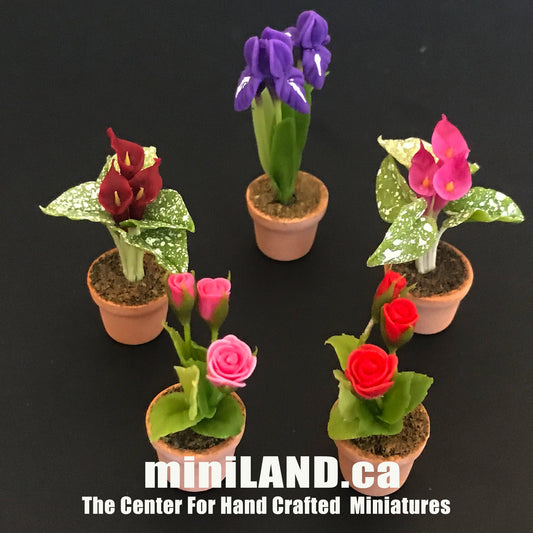Plante à fleurs faite à la main dans un pot en terre cuite Miniatures pour maison de poupées Plantes à l'échelle 1:12 Jardin de fleurs Bloom