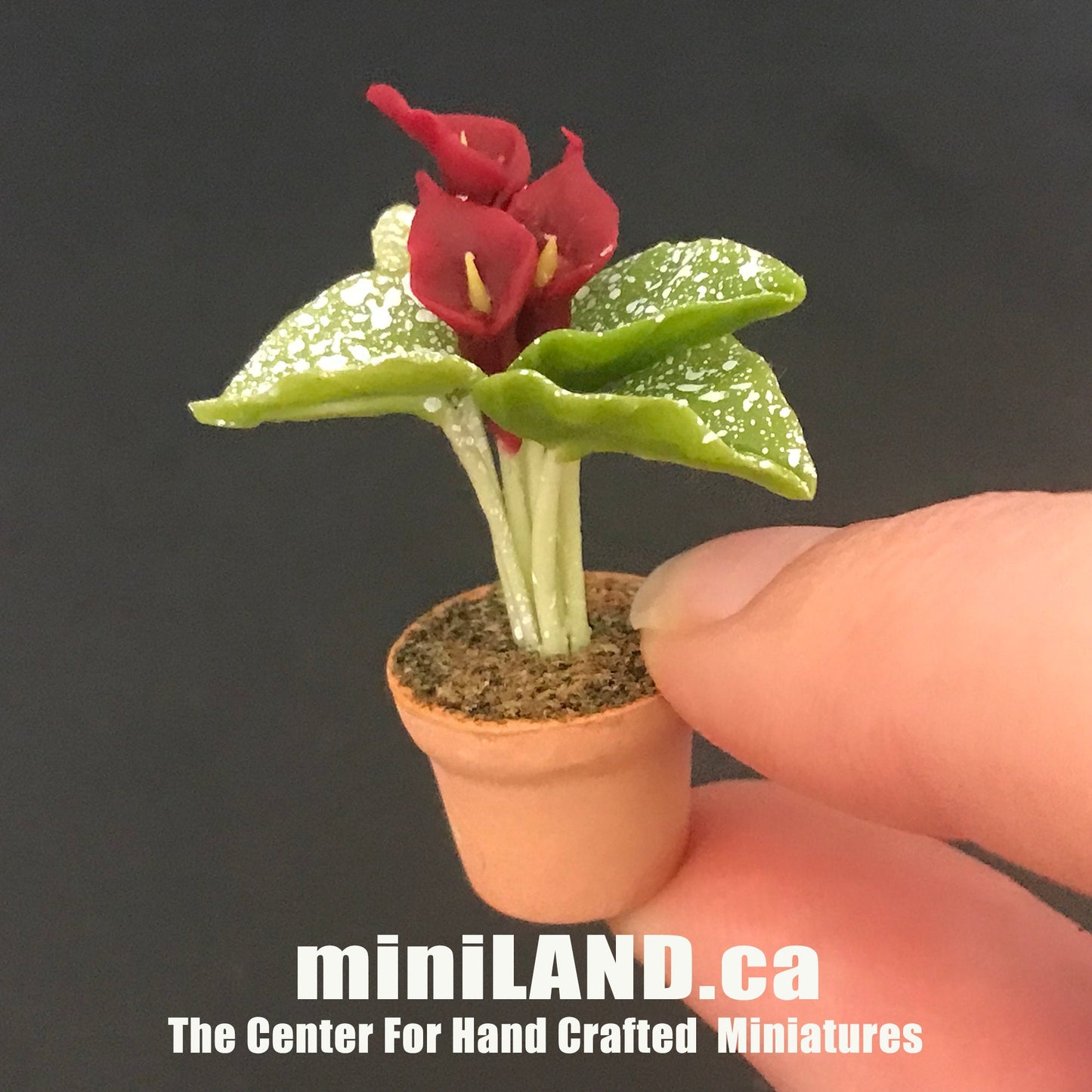 Plante à fleurs faite à la main dans un pot en terre cuite Miniatures pour maison de poupées Plantes à l'échelle 1:12 Jardin de fleurs Bloom