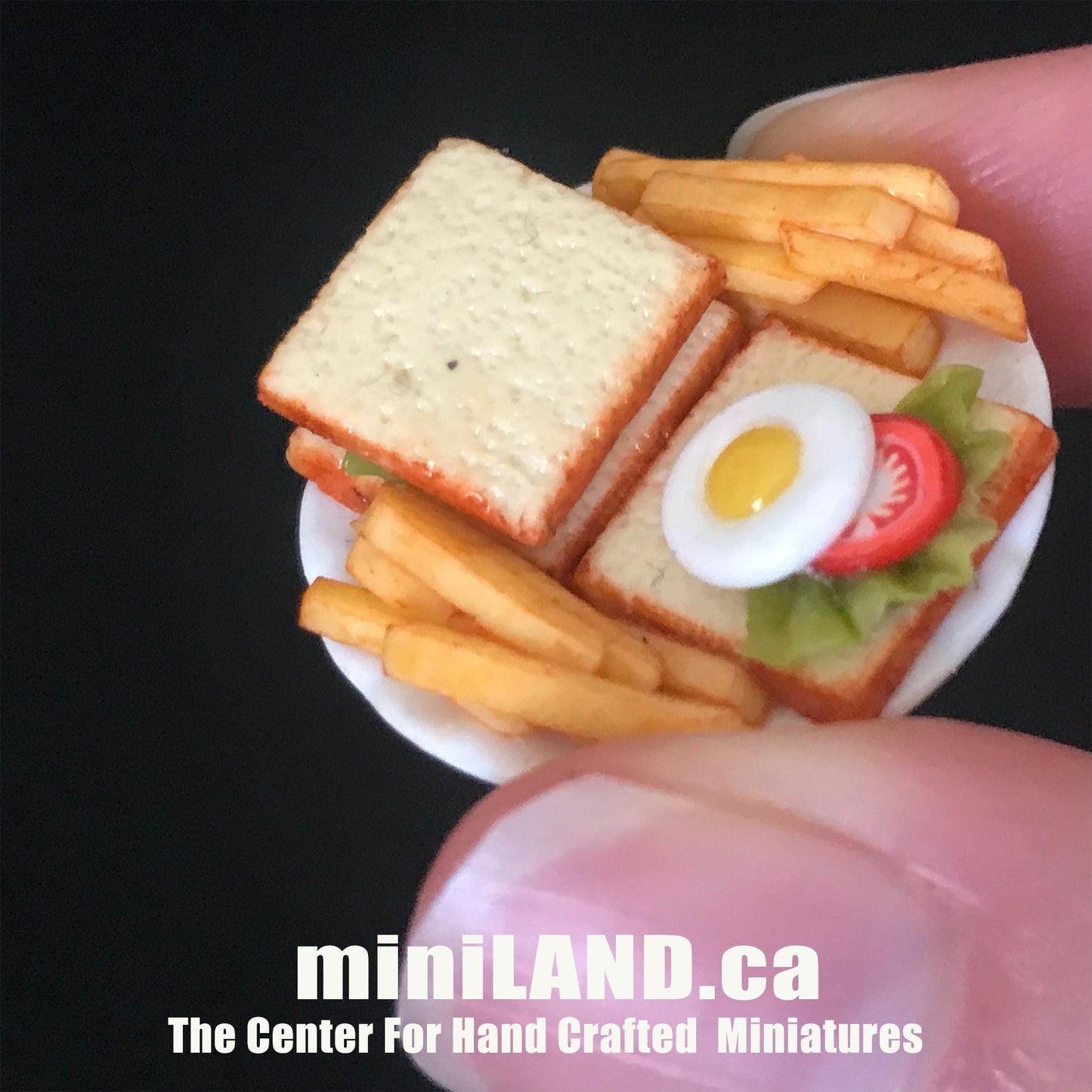 Handmade Full English Breakfast Plate Bacon Sausage bread sandwich fries sausage Hamburger 1:12 scale dollhouse miniature food dish