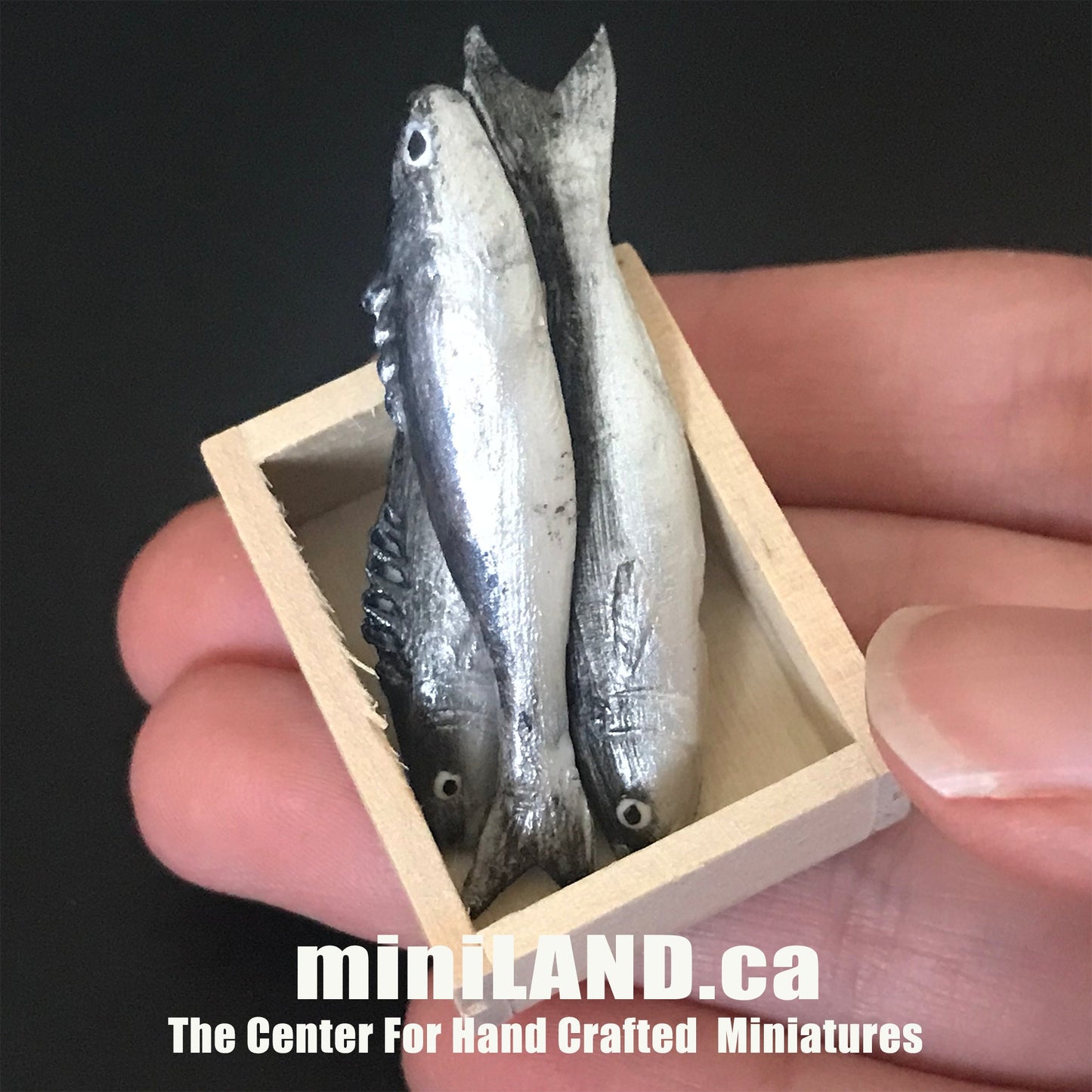 Assortiment de caisses de poisson en vrac - 3 pièces de poisson frais dans une caisse en bois - nourriture miniature pour maison de poupée à l'échelle 1:12