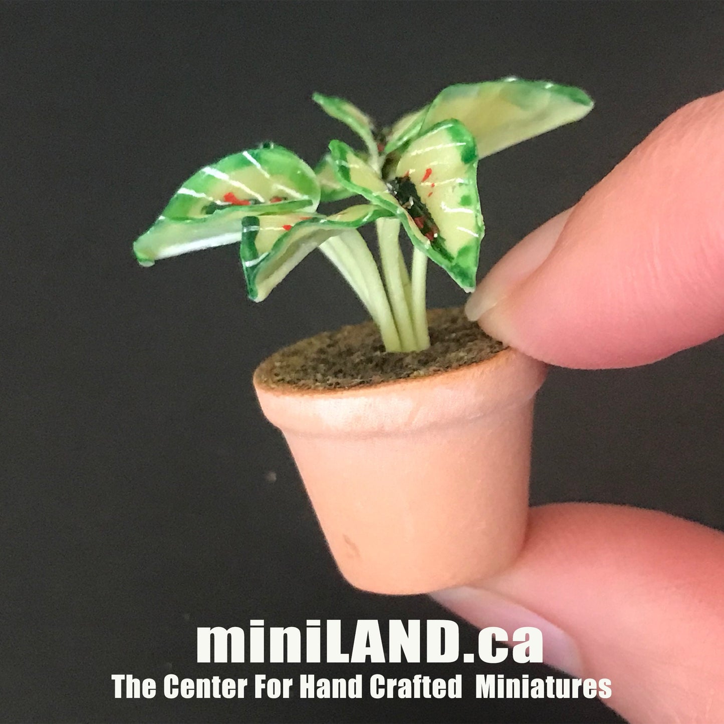 House potted Snake leaves leaf green houseplant plant pot for dollhouse miniature 1:12 scale forever garden