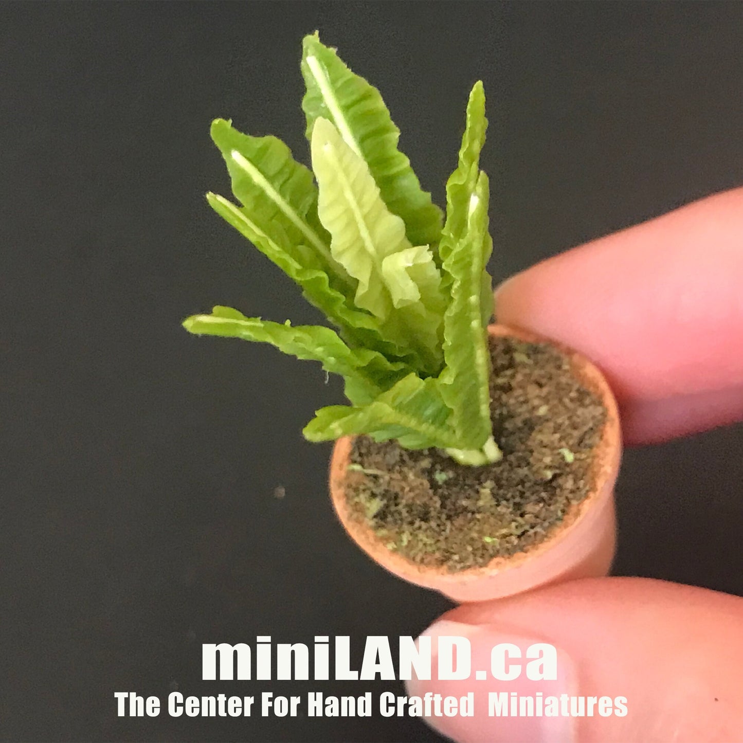 House potted Snake leaves leaf green houseplant plant pot for dollhouse miniature 1:12 scale forever garden