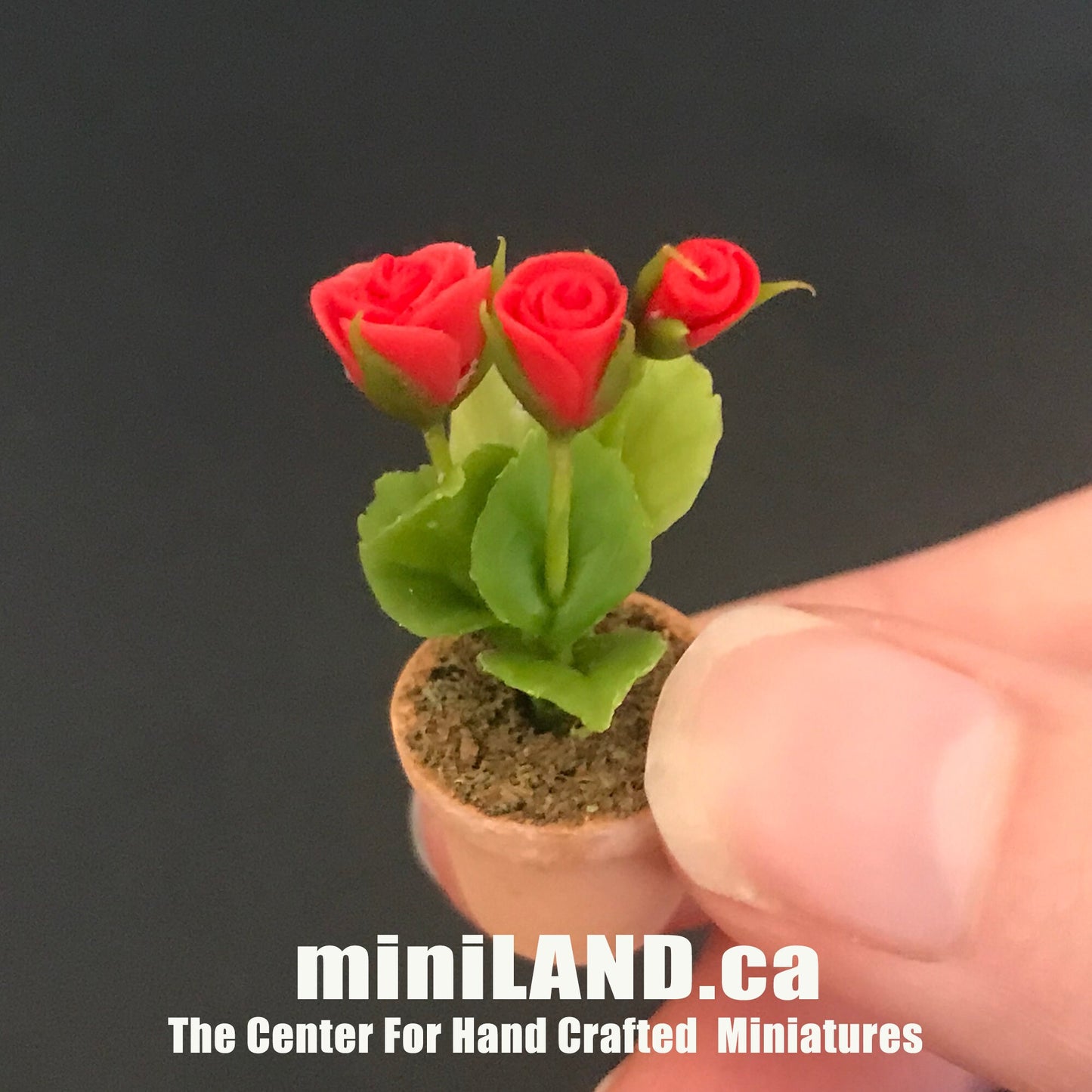 Handmade flowers plant in Terracotta Pot Dollhouse Miniatures 1:12 scale plants flower garden bloom