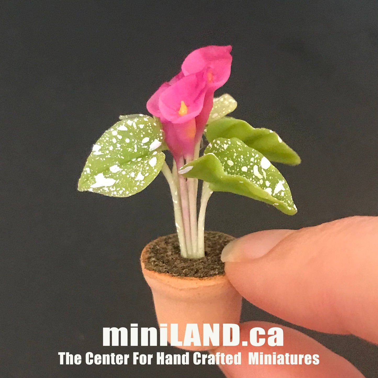 Plante à fleurs faite à la main dans un pot en terre cuite Miniatures pour maison de poupées Plantes à l'échelle 1:12 Jardin de fleurs Bloom