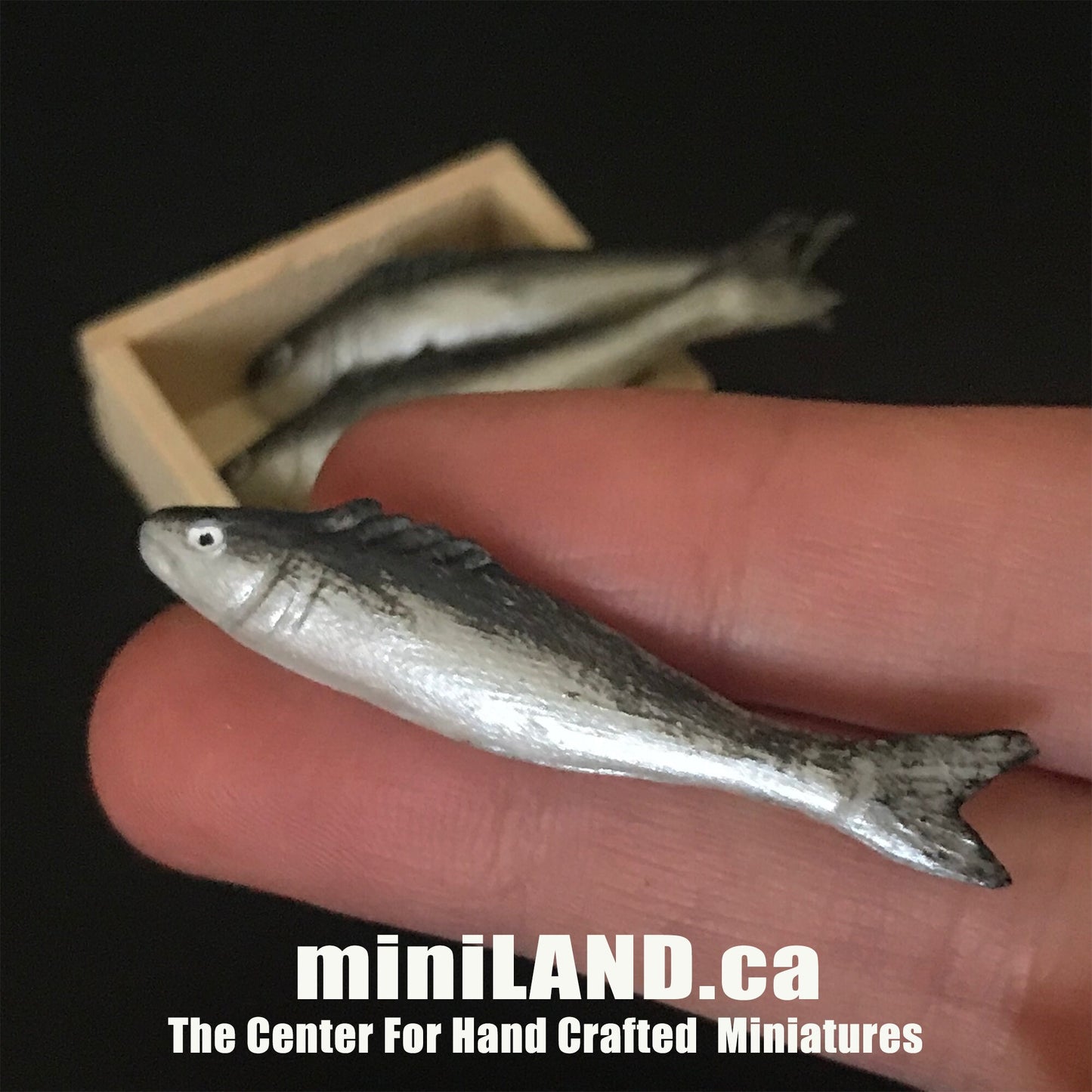 Assortiment de caisses de poisson en vrac - 3 pièces de poisson frais dans une caisse en bois - nourriture miniature pour maison de poupée à l'échelle 1:12