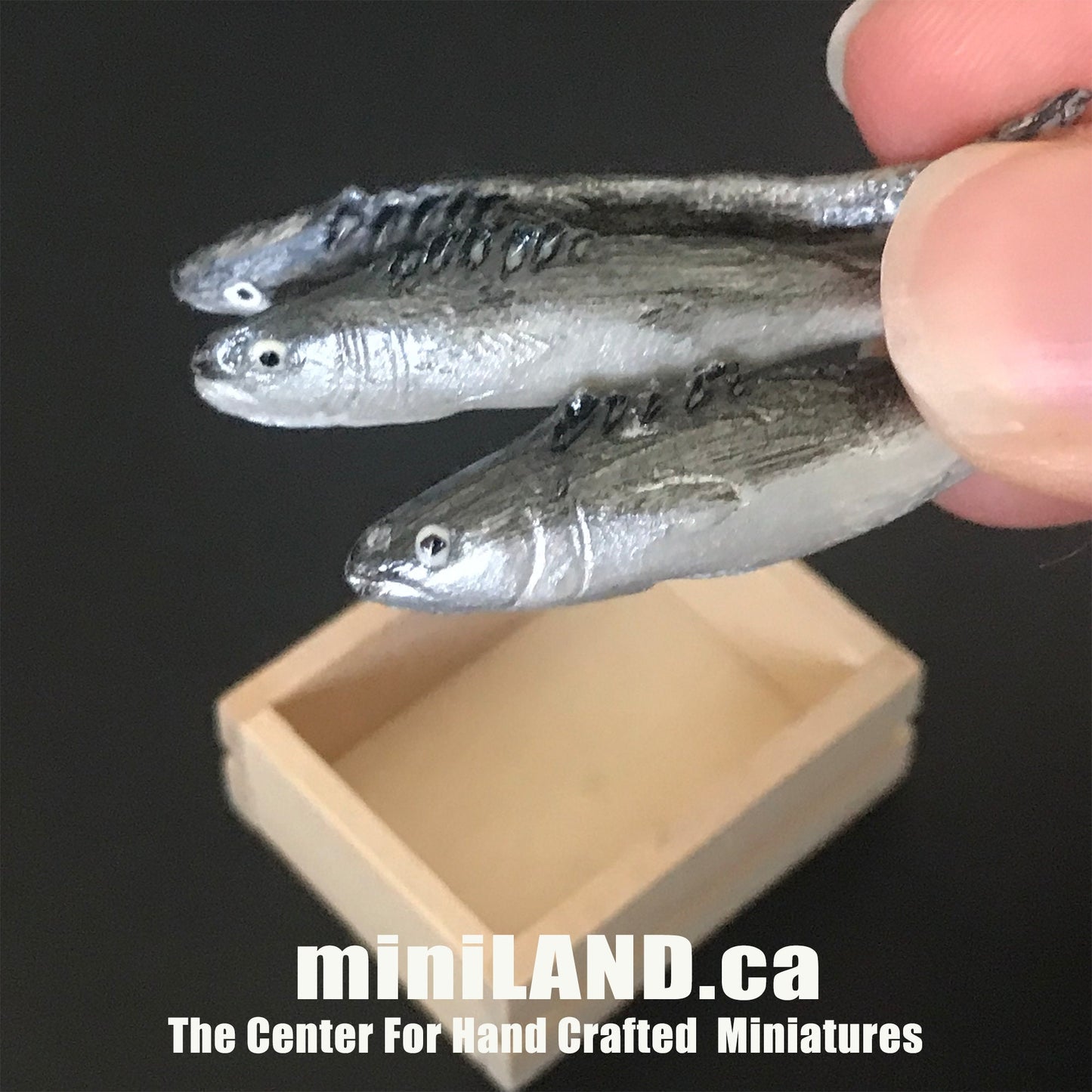 Assortiment de caisses de poisson en vrac - 3 pièces de poisson frais dans une caisse en bois - nourriture miniature pour maison de poupée à l'échelle 1:12