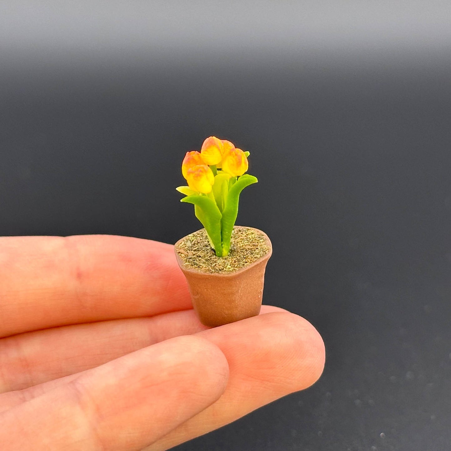 Handmade flowers plant in Terracotta Pot Dollhouse Miniatures 1:12 scale plants flower garden bloom