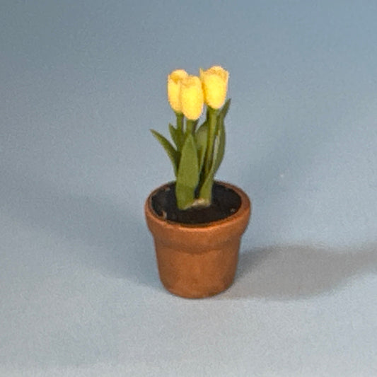 Miniature Yellow Tulips – Light Yellow