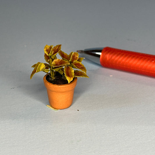 House potted green houseplant plant pot for dollhouse miniature 1:12 calathea
