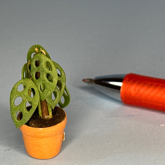 House potted green houseplant plant pot for dollhouse miniature 1:12 Monstrea