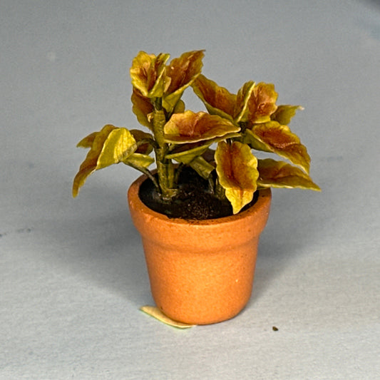 House potted green houseplant plant pot for dollhouse miniature 1:12 calathea