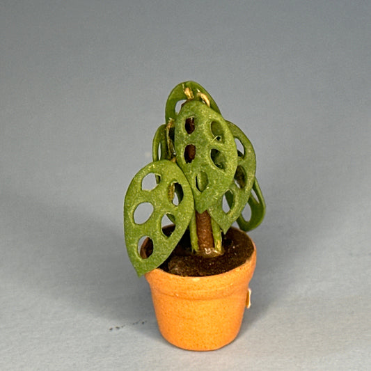 House potted green houseplant plant pot for dollhouse miniature 1:12 Monstrea