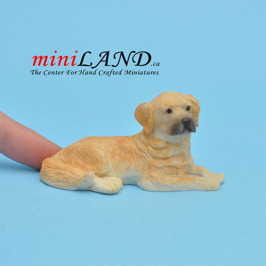 Laying Golden Retriever Dog for Dollhouse miniature 1:12 scale