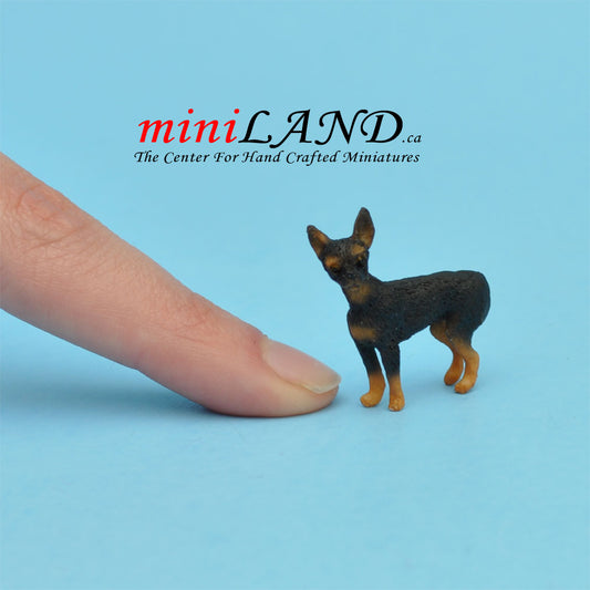 standing, miniature pincher dog for Dollhouse miniature 1:12 scale