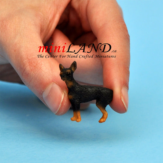 standing, miniature pincher dog for Dollhouse miniature 1:12 scale
