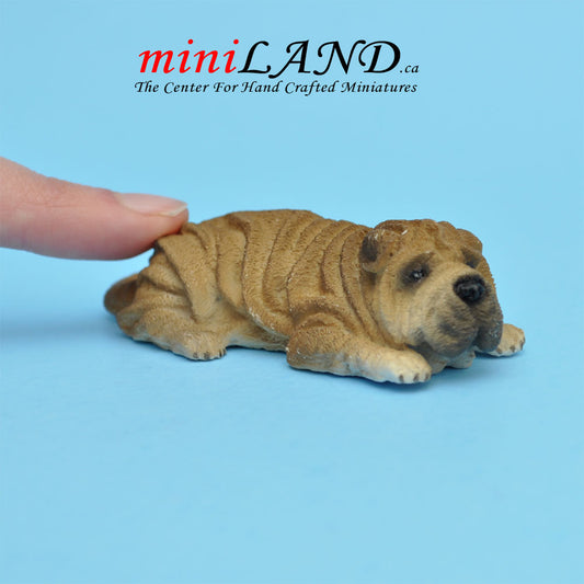 Shar Pei Lying  dog for Dollhouse miniature 1:12 scale