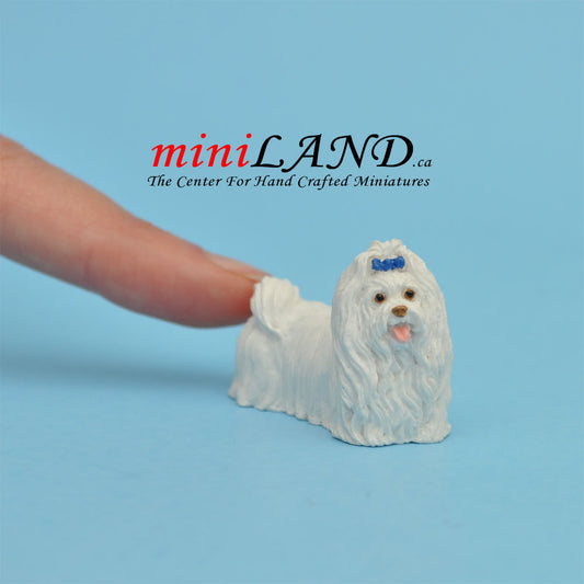 White dog  Dollhouse miniature 1:12 scale