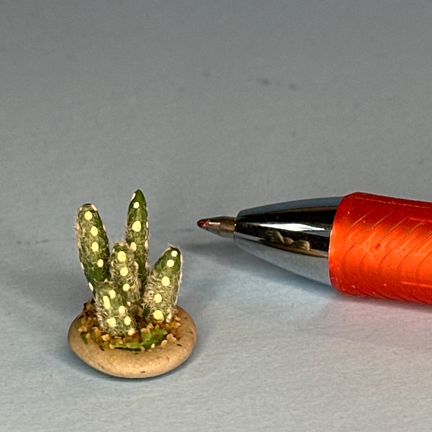 Miniature Handmade Cactus in a Shallow Pot – 1:12 Scale