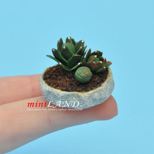 Miniature Handmade Cactus in a Gray Pot – 1:12 Scale