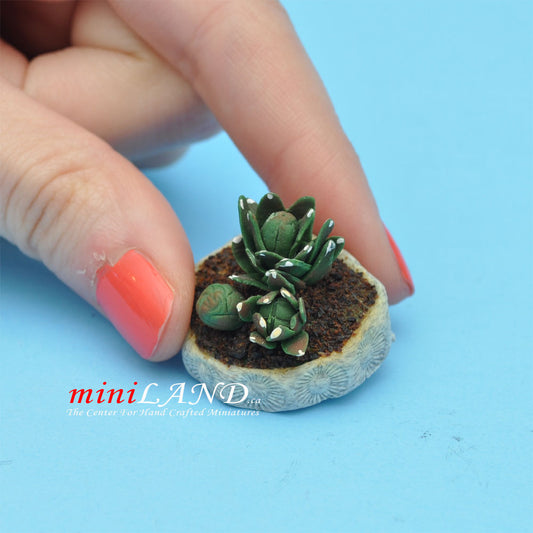 Miniature Handmade Cactus in a Gray Pot – 1:12 Scale