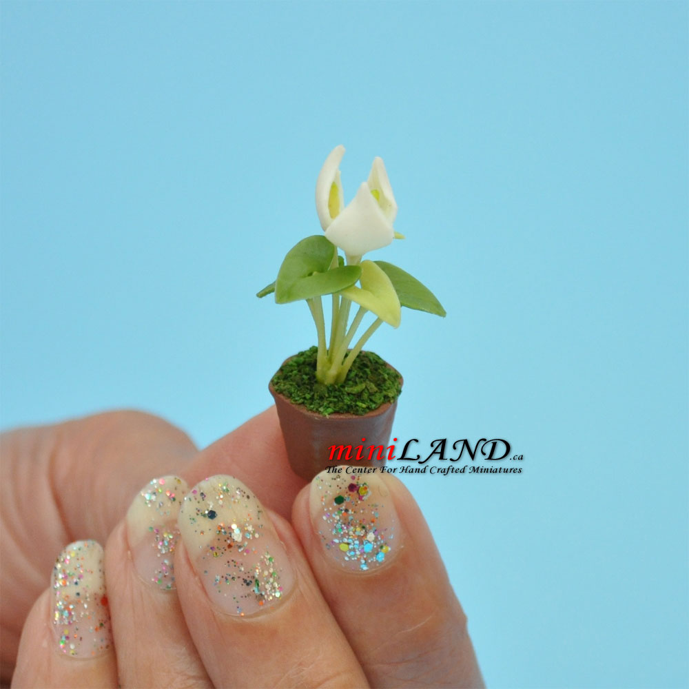 Handmade white Calla plant in Terracotta Pot Dollhouse Miniatures FL033 1:12 scale