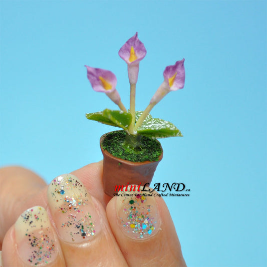 Handmade flowers plant in Terracotta Pot Dollhouse Miniatures FL033 1:12 scale