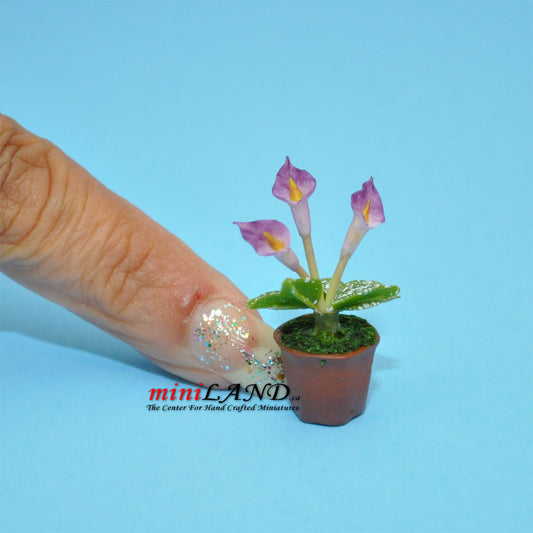 Handmade flowers plant in Terracotta Pot Dollhouse Miniatures FL033 1:12 scale