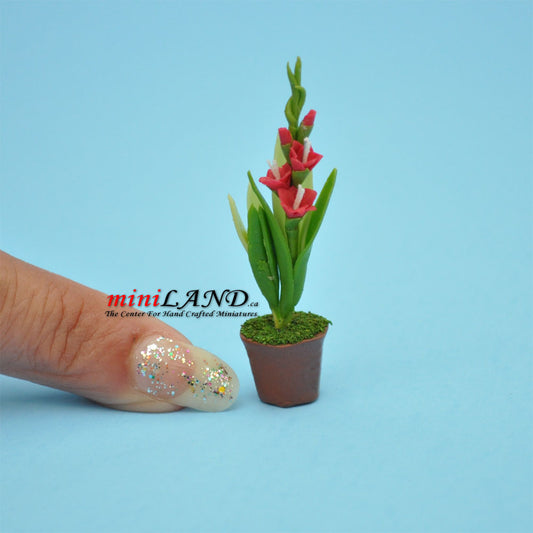Handmade white iris plant in Terracotta Pot Dollhouse Miniatures FL041 1:12 scale