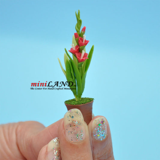 Handmade white iris plant in Terracotta Pot Dollhouse Miniatures FL041 1:12 scale