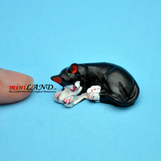 Economic black sleeping cat dollhouse miniature 1:12 scale