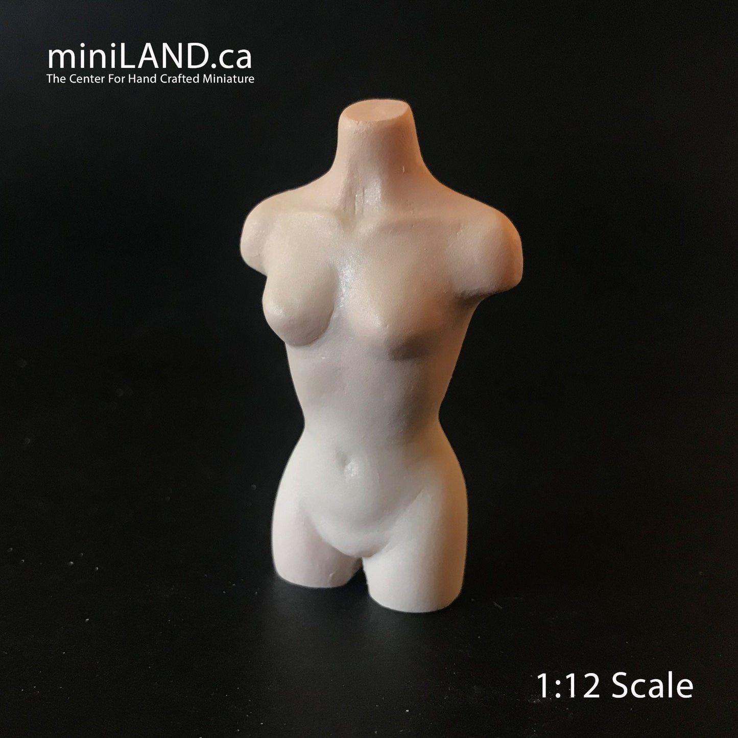Miniature BUST TORSO MANNEQUIN 2.5” 1:12 scale for miniature dollhouse porcelain Bust1