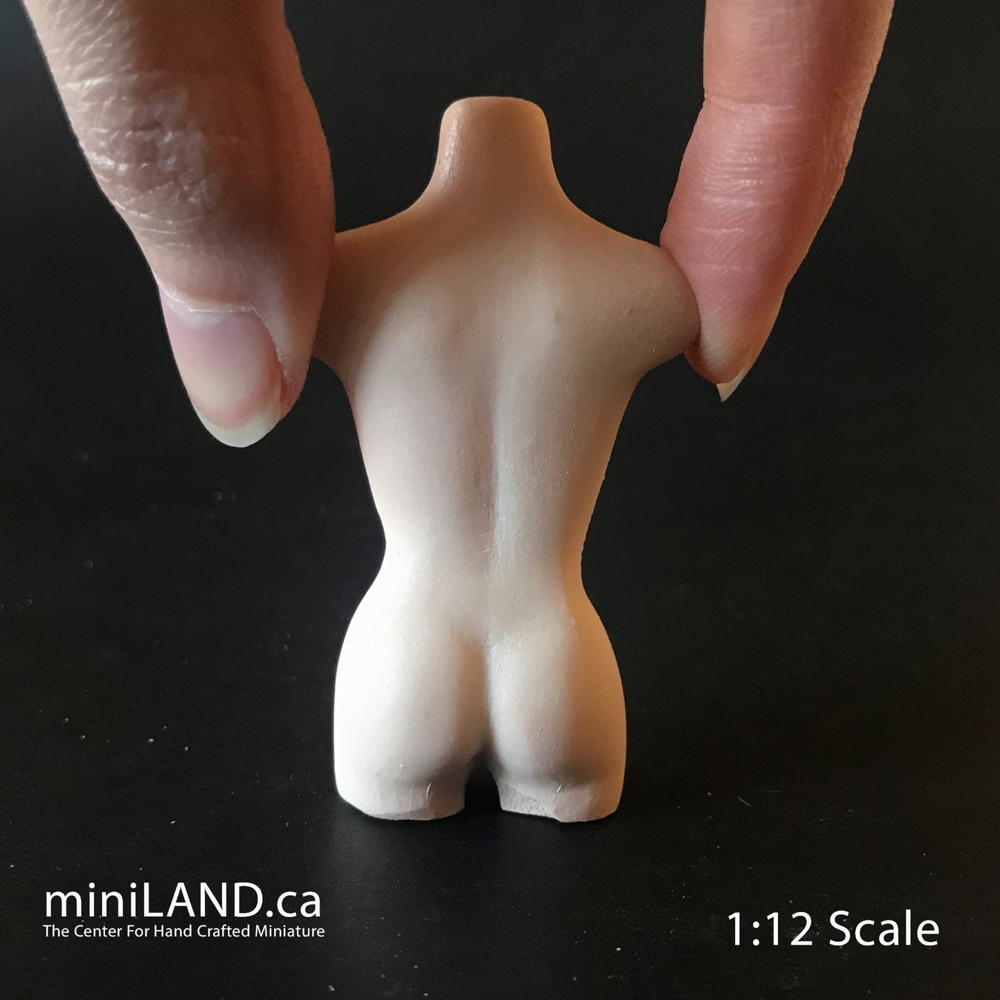 Miniature BUST TORSO MANNEQUIN 2.5” 1:12 scale for miniature dollhouse porcelain Bust1